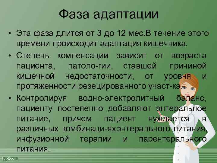   Фаза адаптации • Эта фаза длится от 3 до 12 мес. В