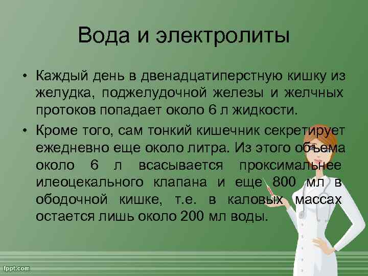   Вода и электролиты • Каждый день в двенадцатиперстную кишку из  желудка,