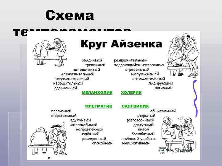   Схема темпераментов 