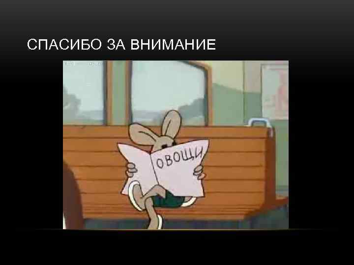 СПАСИБО ЗА ВНИМАНИЕ 