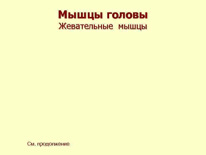 Мышцы головы Жевательные мышцы См. продолжение Мышцы головы Жевательные мышцы См. продолжение