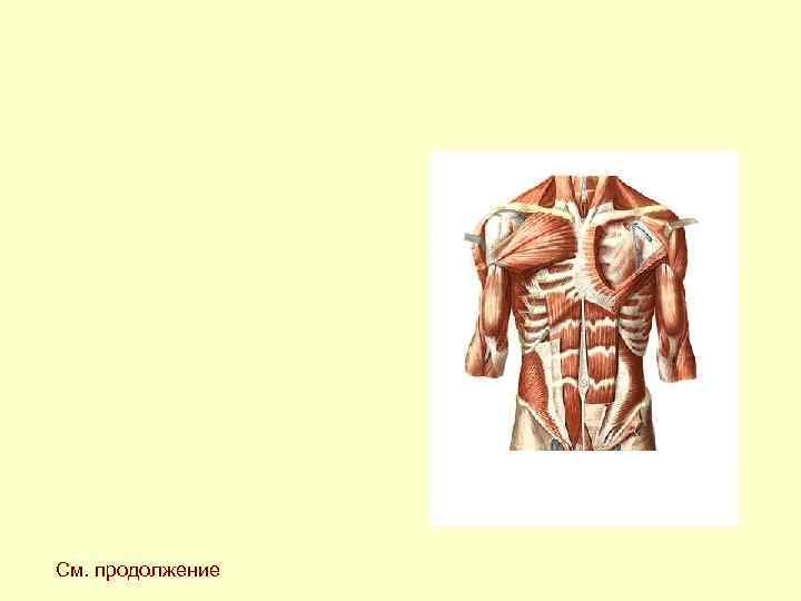 См. продолжение См. продолжение