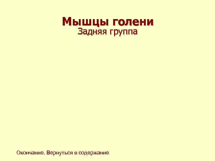 Мышцы голени Задняя группа Окончание. Вернуться Мышцы голени Задняя группа Окончание. Вернуться
