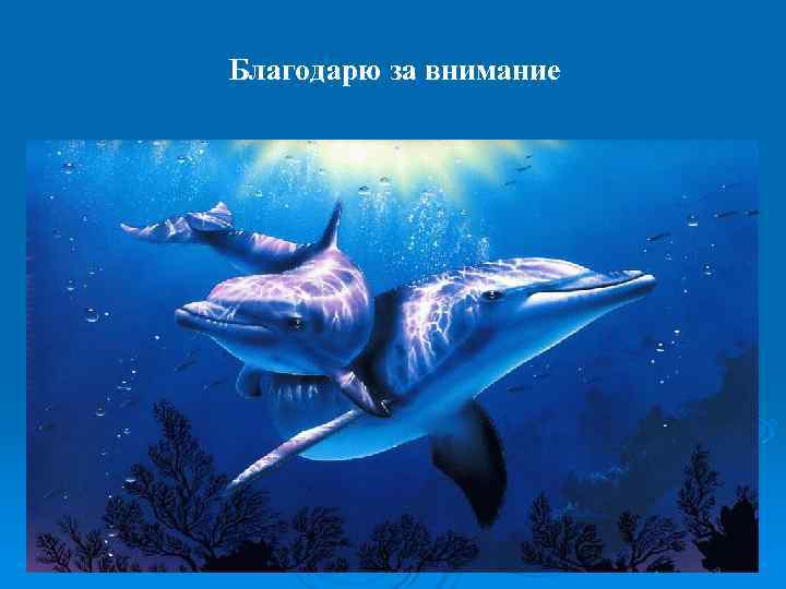   Благодарю за внимание  ► антиоксидантный донор SН-групп  стабилизация АОС (глутаминзависимой);