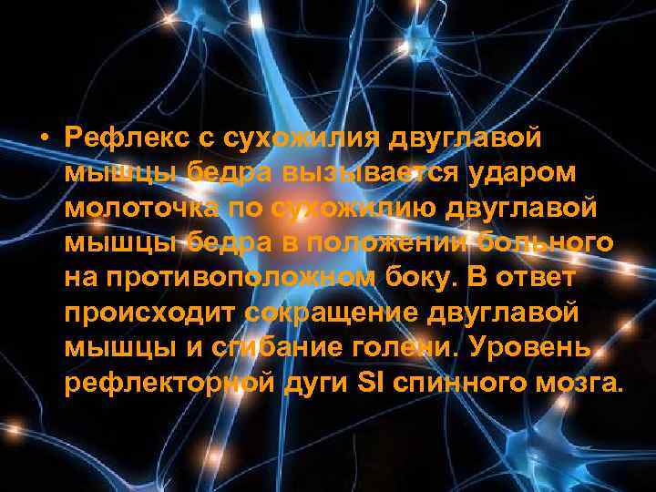  • Рефлекс с сухожилия двуглавой  мышцы бедра вызывается ударом  молоточка по