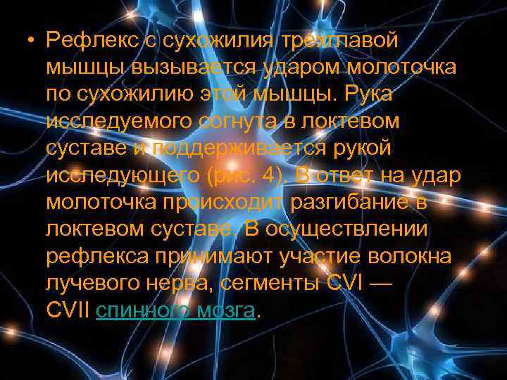  • Рефлекс с сухожилия трехглавой  мышцы вызывается ударом молоточка  по сухожилию