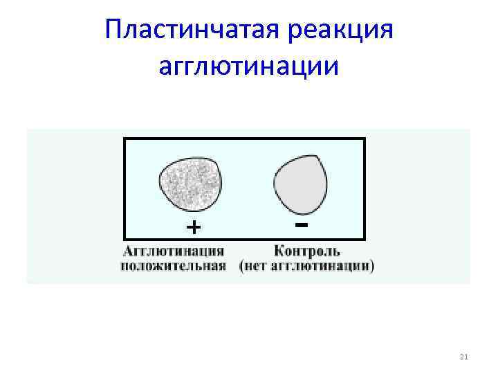 Реакция агглютинации микробиология презентация