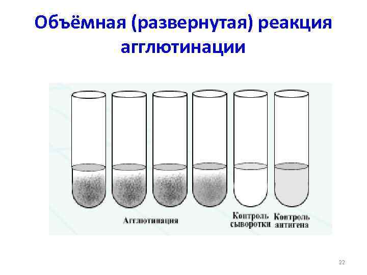 Реакция видаля схема