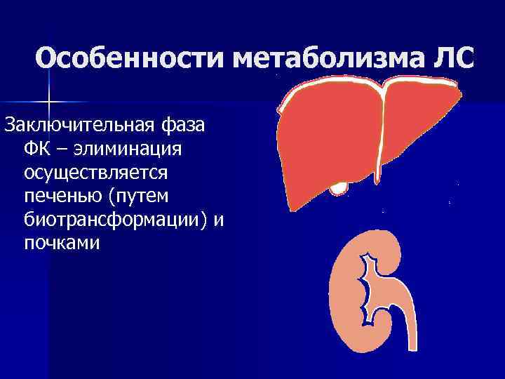  Особенности метаболизма ЛС Заключительная фаза  ФК – элиминация  осуществляется  печенью