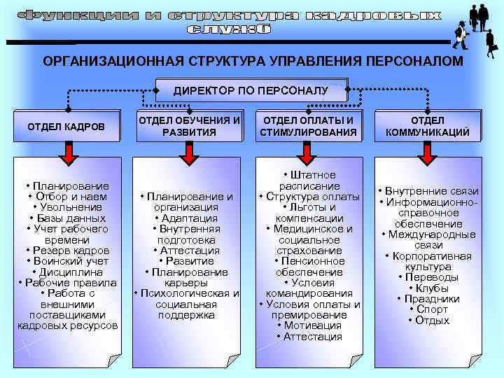   ОРГАНИЗАЦИОННАЯ СТРУКТУРА УПРАВЛЕНИЯ ПЕРСОНАЛОМ     ДИРЕКТОР ПО ПЕРСОНАЛУ 