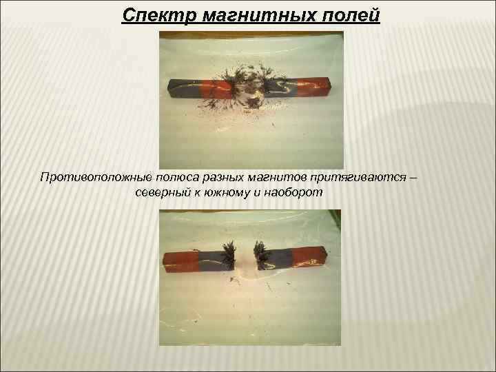   Спектр магнитных полей Противоположные полюса разных магнитов притягиваются –   северный