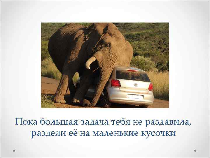 Пока большая задача тебя не раздавила, раздели её на маленькие кусочки 