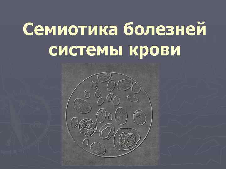 Семиотика болезней  системы крови 