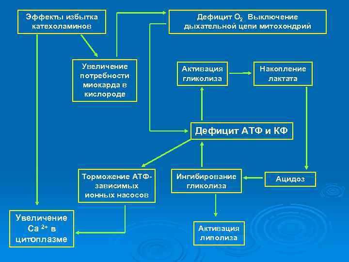 Эффекты избытка катехоламинов Увеличение потребности миокарда в кислороде Дефицит О 2. Выключение дыхательной цепи