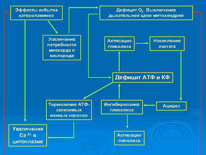 Эффекты избытка катехоламинов Увеличение потребности миокарда в кислороде Дефицит О 2. Выключение дыхательной цепи