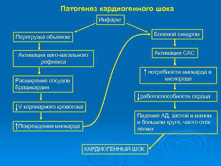 Патогенез кардиогенного шока Инфаркт Болевой синдром Перегрузка объемом Активация САС Активация ваго-вагального рефлекса потребности