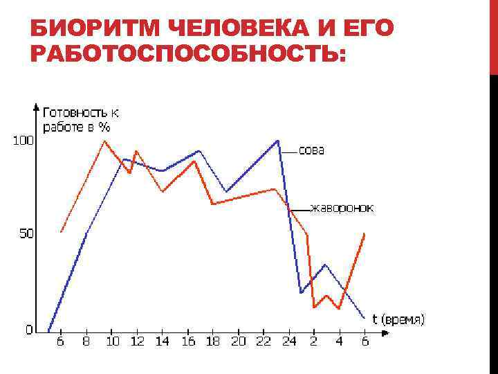 БИОРИТМ ЧЕЛОВЕКА И ЕГО РАБОТОСПОСОБНОСТЬ: 