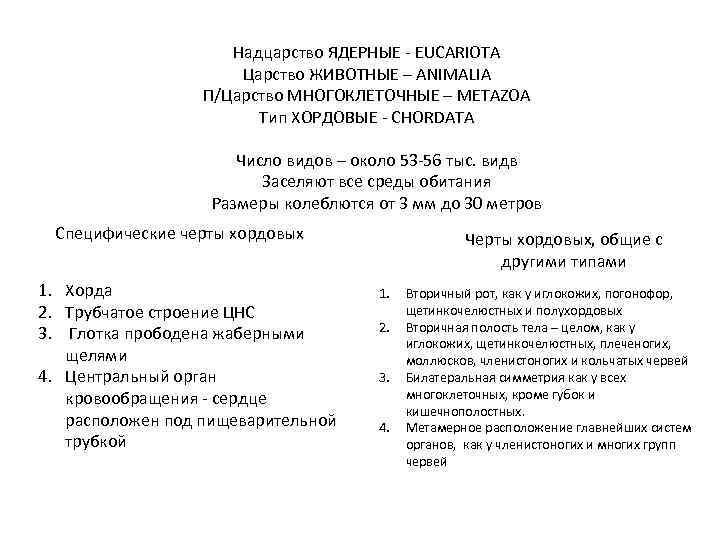 Надцарство ЯДЕРНЫЕ - EUCARIOTA Царство ЖИВОТНЫЕ Надцарство ЯДЕРНЫЕ - EUCARIOTA Царство ЖИВОТНЫЕ