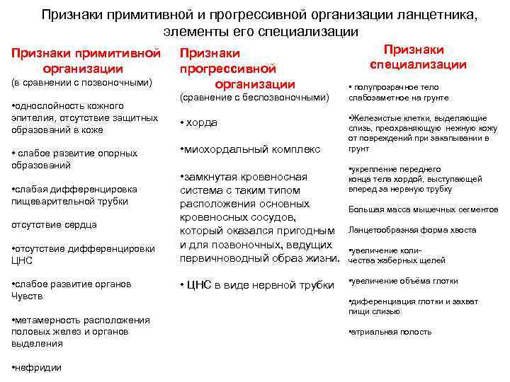  Признаки примитивной и прогрессивной организации ланцетника,    элементы его специализации Признаки