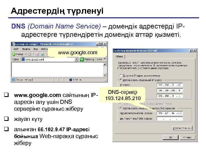 Адрестердің түрленуі  DNS (Domain Name Service) – домендік адрестерді IP- адрестерге түрлендіретін