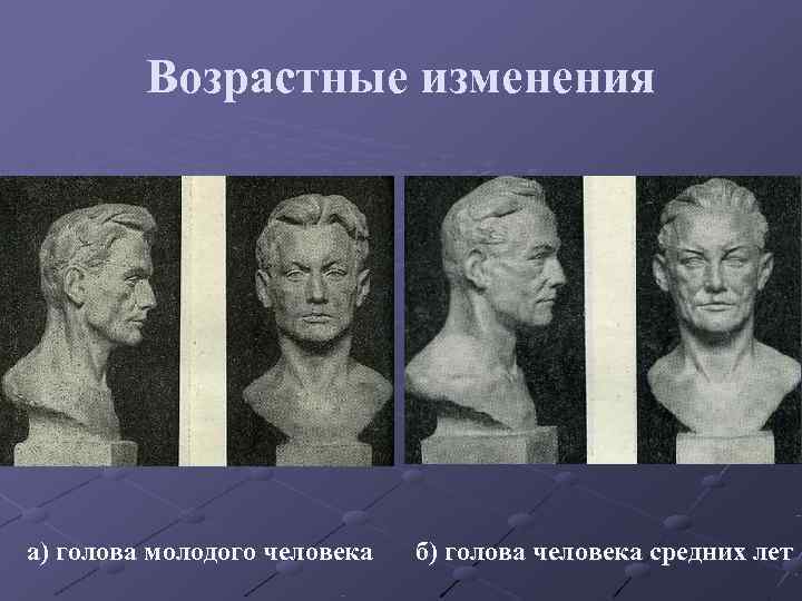 Возрастные изменения а) голова молодого человека б) голова человека средних Возрастные изменения а) голова молодого человека б) голова человека средних