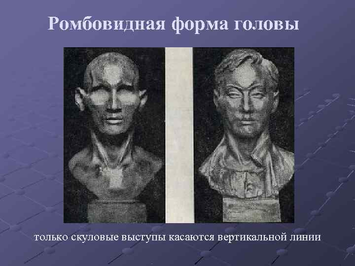 Ромбовидная форма головы только скуловые выступы касаются вертикальной линии Ромбовидная форма головы только скуловые выступы касаются вертикальной линии
