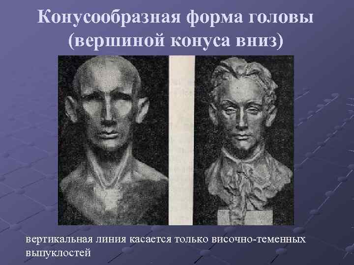 Конусообразная форма головы (вершиной конуса вниз) вертикальная линия касается только височно-теменных выпуклостей Конусообразная форма головы (вершиной конуса вниз) вертикальная линия касается только височно-теменных выпуклостей