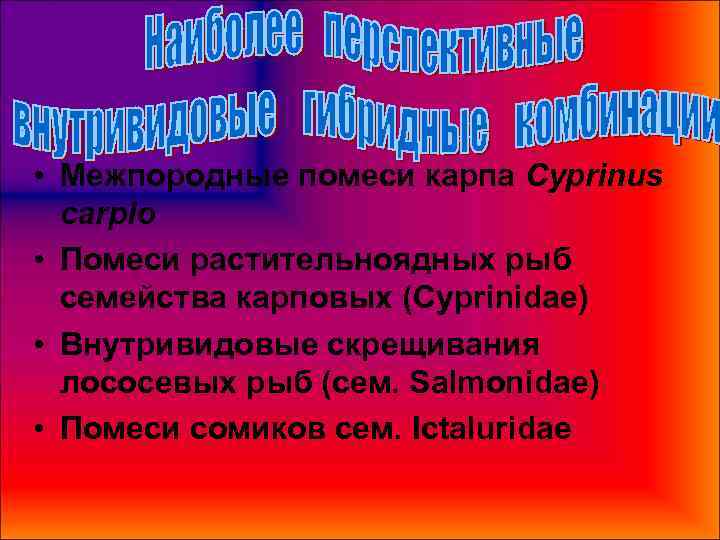  • Межпородные помеси карпа Cyprinus  carplo • Помеси растительноядных рыб  семейства