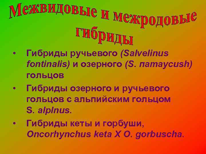  •  Гибриды ручьевого (Salvelinus fontinalis) и озерного (S. паmaycush) гольцов • 