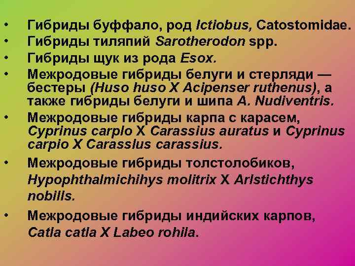  •  Гибриды буффало, род Ictiobus, Catostomidae.  •  Гибриды тиляпий Sarotherodon