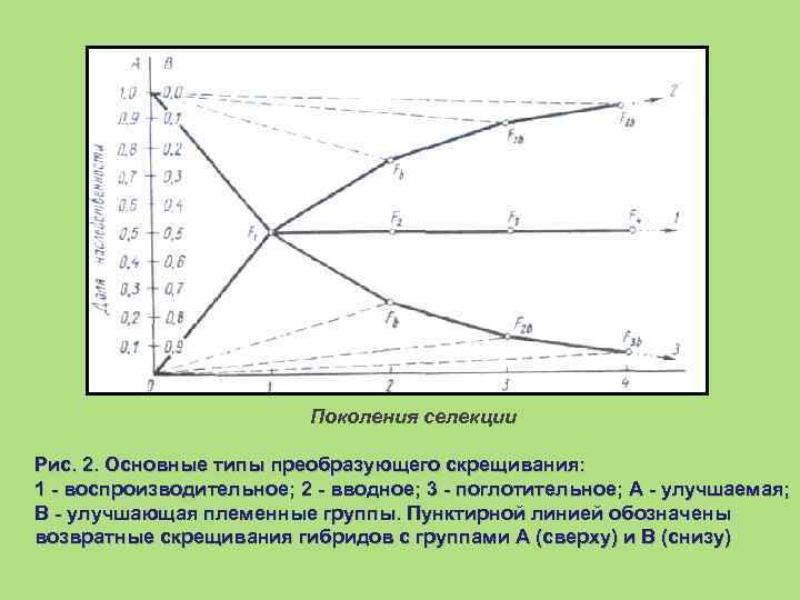      Поколения селекции Рис. 2. Основные типы преобразующего скрещивания: 1
