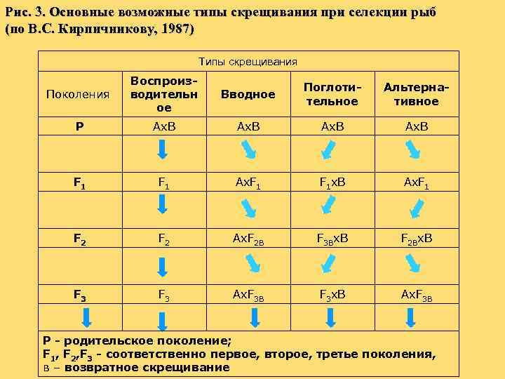 Рис. 3. Основные возможные типы скрещивания при селекции рыб (по В. С. Кирпичникову, 1987)