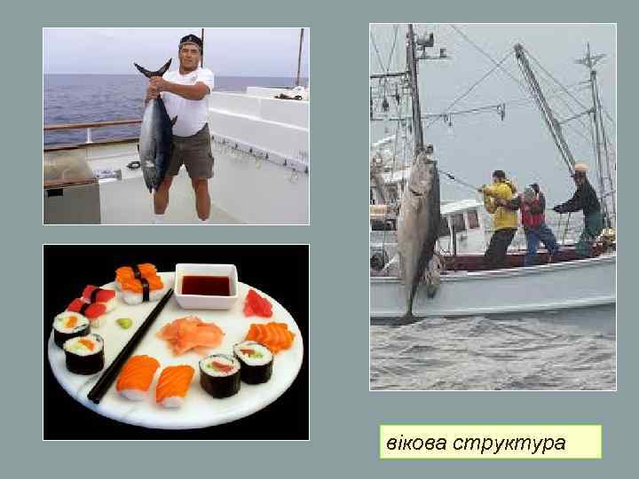 вікова структура вікова структура