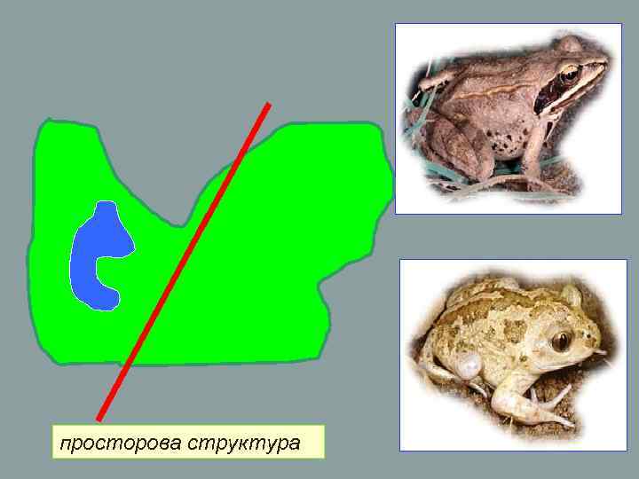 просторова структура просторова структура