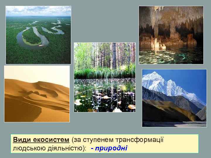 Види екосистем (за ступенем трансформації людською діяльністю): - природні Види екосистем (за ступенем трансформації людською діяльністю): - природні