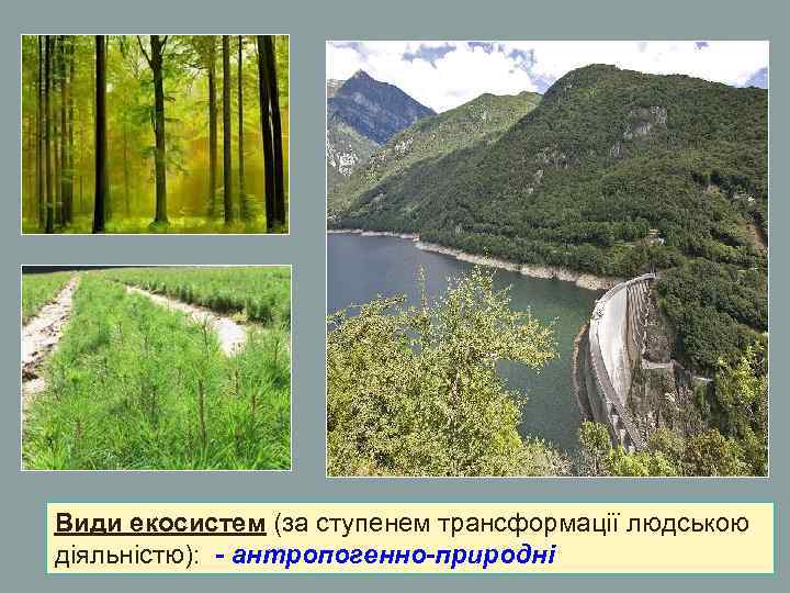 Види екосистем (за ступенем трансформації людською діяльністю): - антропогенно-природні Види екосистем (за ступенем трансформації людською діяльністю): - антропогенно-природні