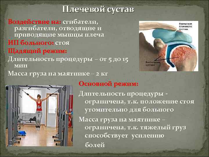     Плечевой сустав Воздействие на: сгибатели,  разгибатели, отводящие и приводящие