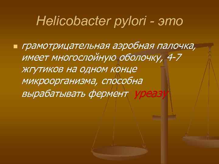  Helicobacter pylori - это n  грамотрицательная аэробная палочка, имеет многослойную оболочку, 4
