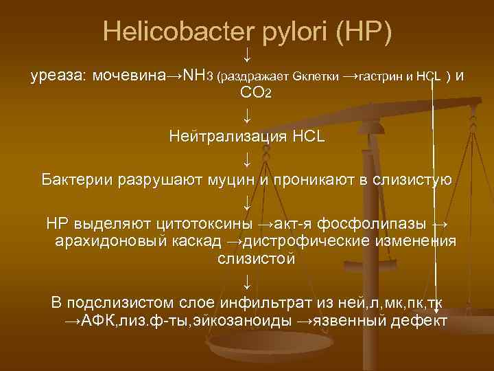    Helicobacter pylori (НР)     ↓ уреаза: мочевина→NH 3