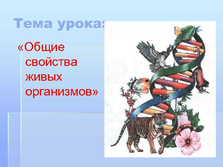 Тема урока:  «Общие свойства живых организмов» 