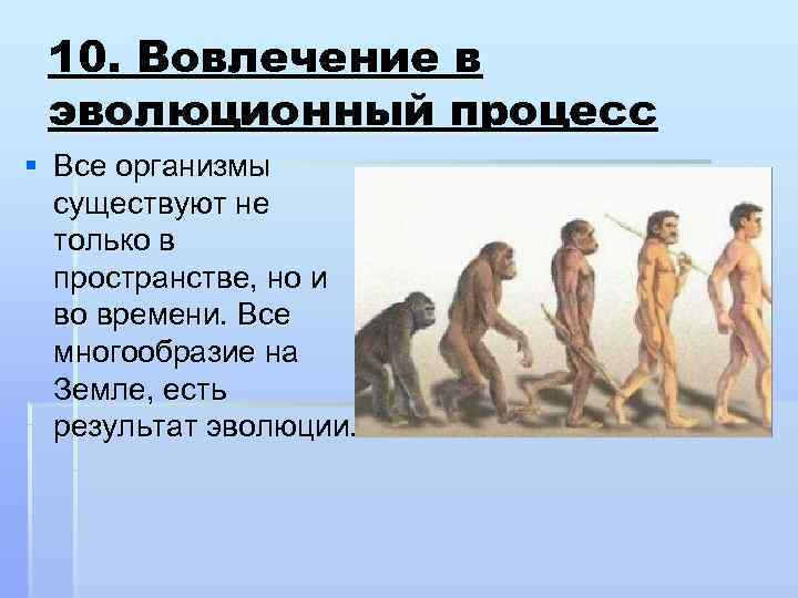  10. Вовлечение в эволюционный процесс § Все организмы  существуют не  только