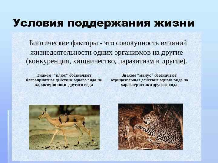 Условия поддержания жизни 