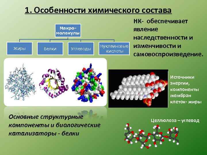   1. Особенности химического состава    НК- обеспечивает   