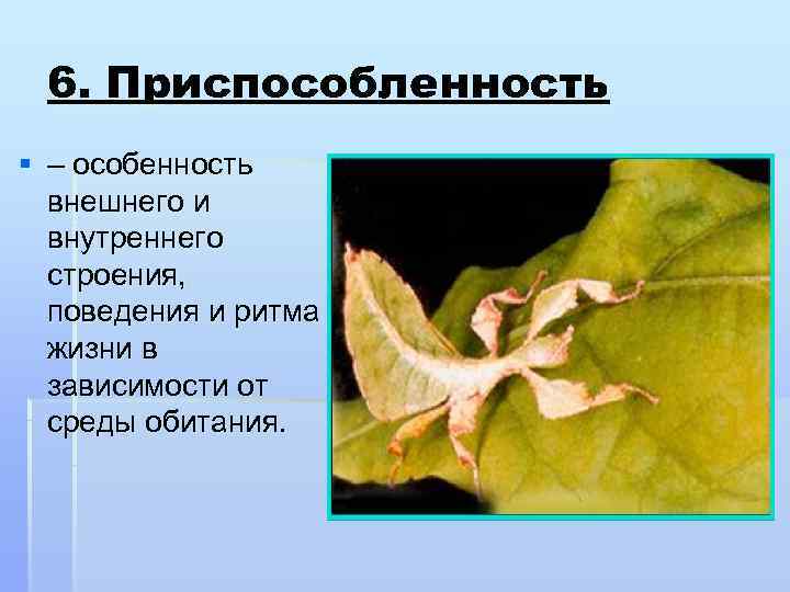  6. Приспособленность § – особенность  внешнего и  внутреннего  строения, 