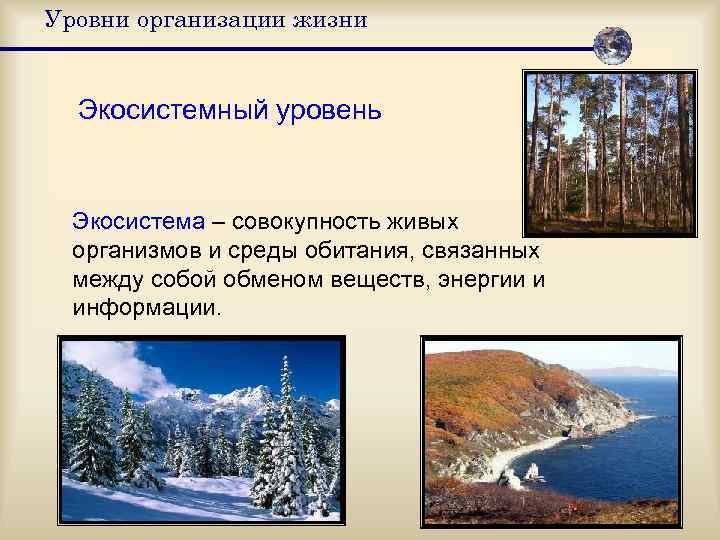 Уровни организации жизни Экосистемный уровень Экосистема – совокупность живых  организмов и среды обитания,