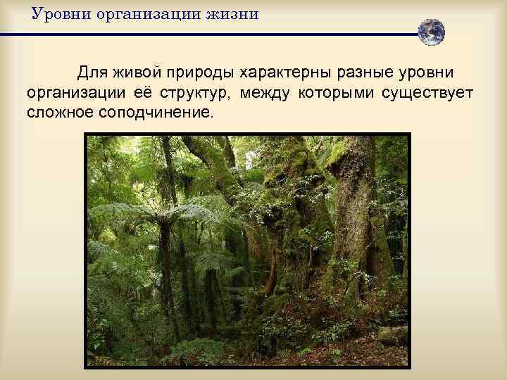 Уровни организации жизни   Для живой природы характерны разные уровни организации её структур,