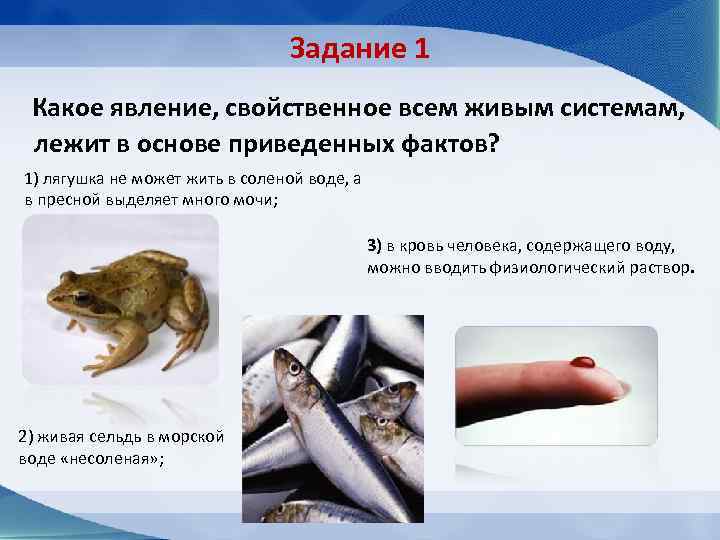       Задание 1 Какое явление, свойственное всем живым