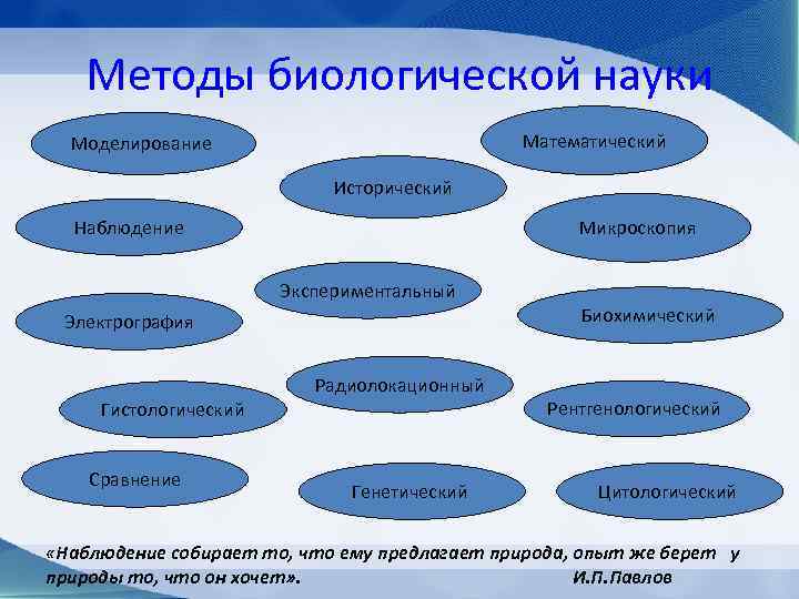   Методы биологической науки  Моделирование      Математический 