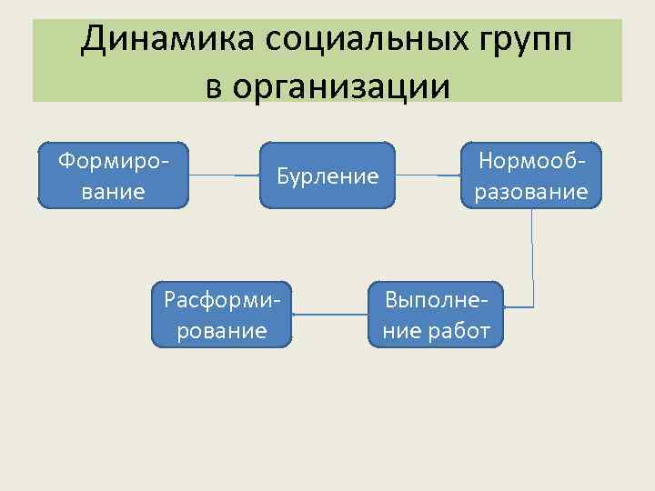  Динамика социальных групп  в организации Формиро-     Нормооб- 