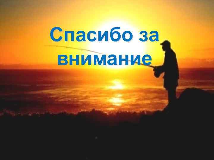 Спасибо за внимание 